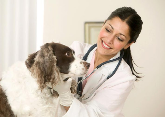 cach-chua-tri-benh-viem-phe-quan-o-cho-3