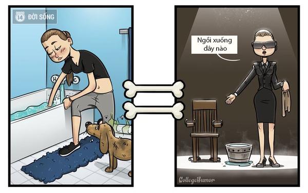 Cười té ghế với bộ ảnh Thế giới qua góc nhìn của một chú chó thì trông như nào?