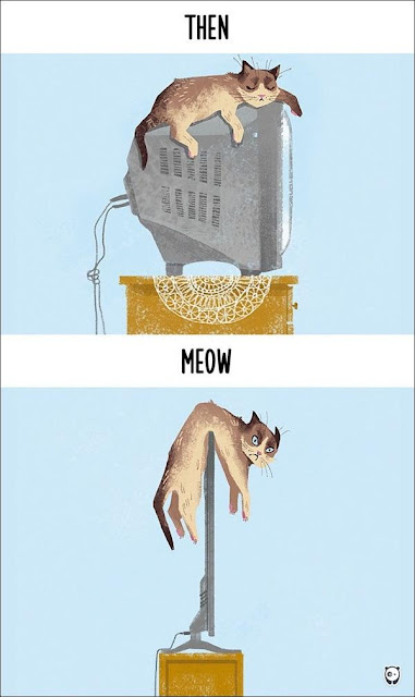 Cuộc sống của các bé mèo khi công nghệ phát triển