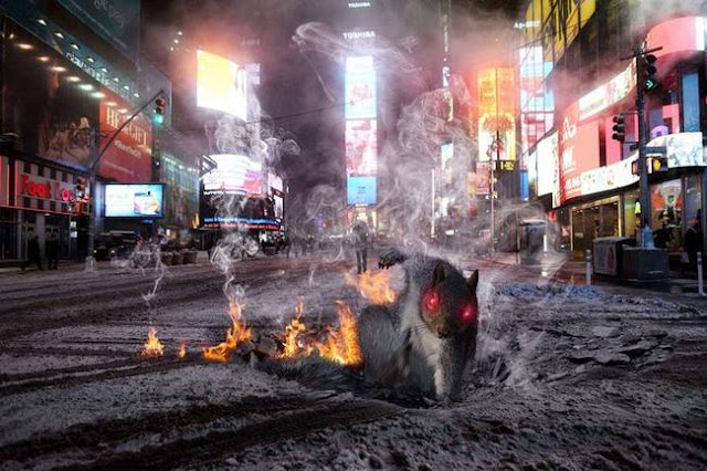 Chú sóc diễn sâu trở thành nạn nhân chế ảnh mới của các thợ photoshop dạo