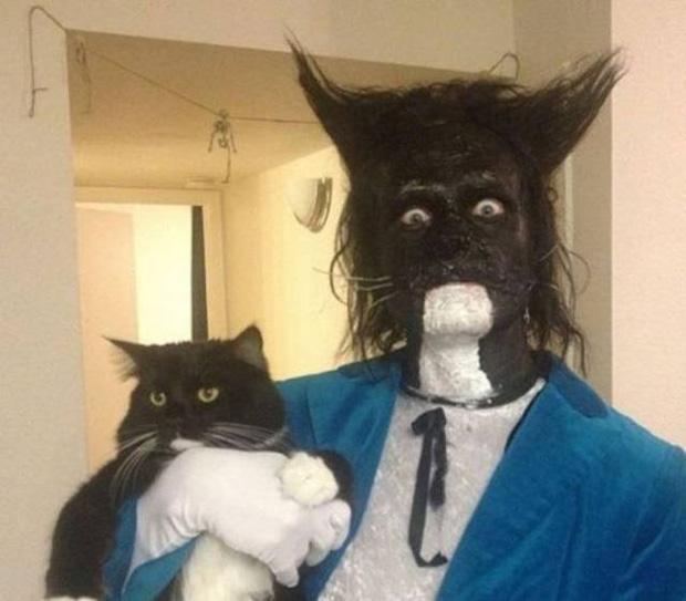 17 tiết mục cosplay khiến hội thú cưng ghét cay, ghét đắng chủ nhân