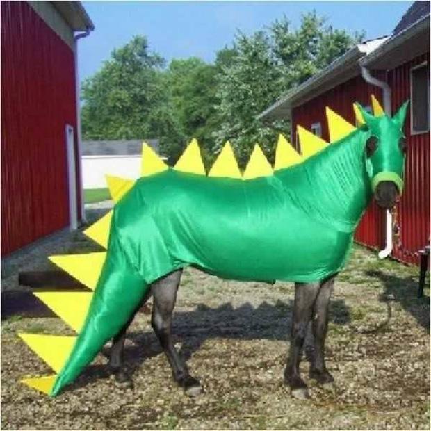 17 tiết mục cosplay khiến hội thú cưng ghét cay, ghét đắng chủ nhân