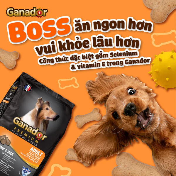 Thức ăn hạt cho chó GANADOR Premium Adult vị thịt gà