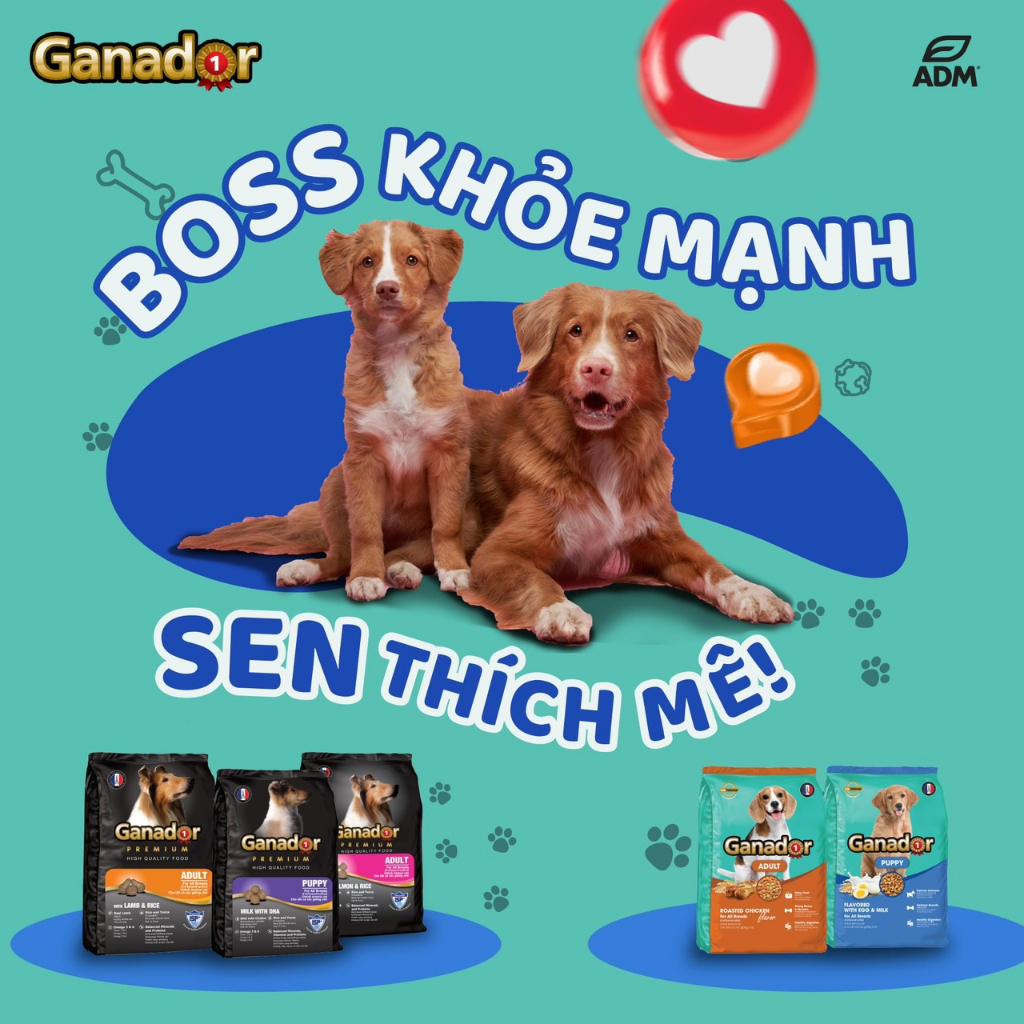 Thức ăn hạt cho chó GANADOR Premium Adult vị thịt gà
