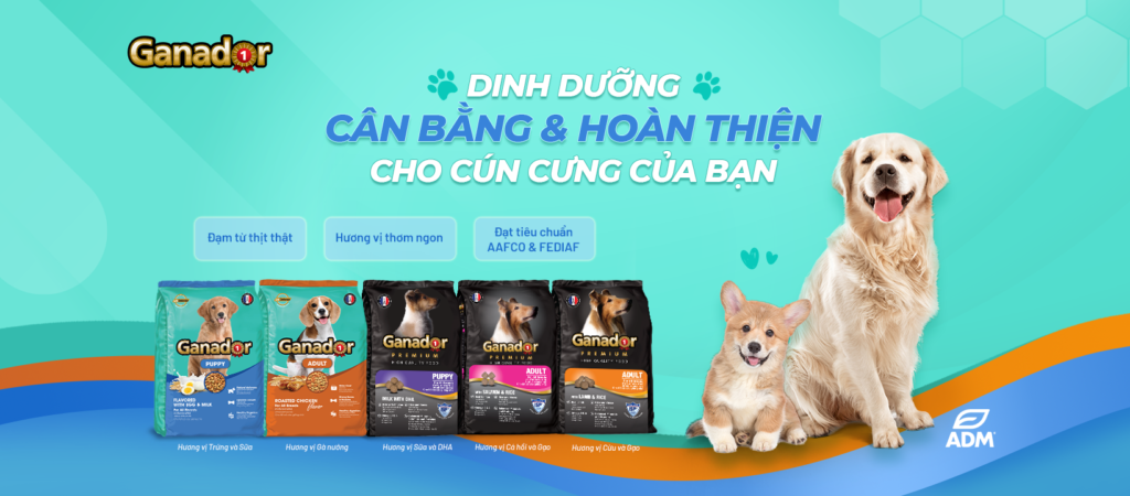 Thức ăn hạt cho chó GANADOR Premium Adult vị thịt gà